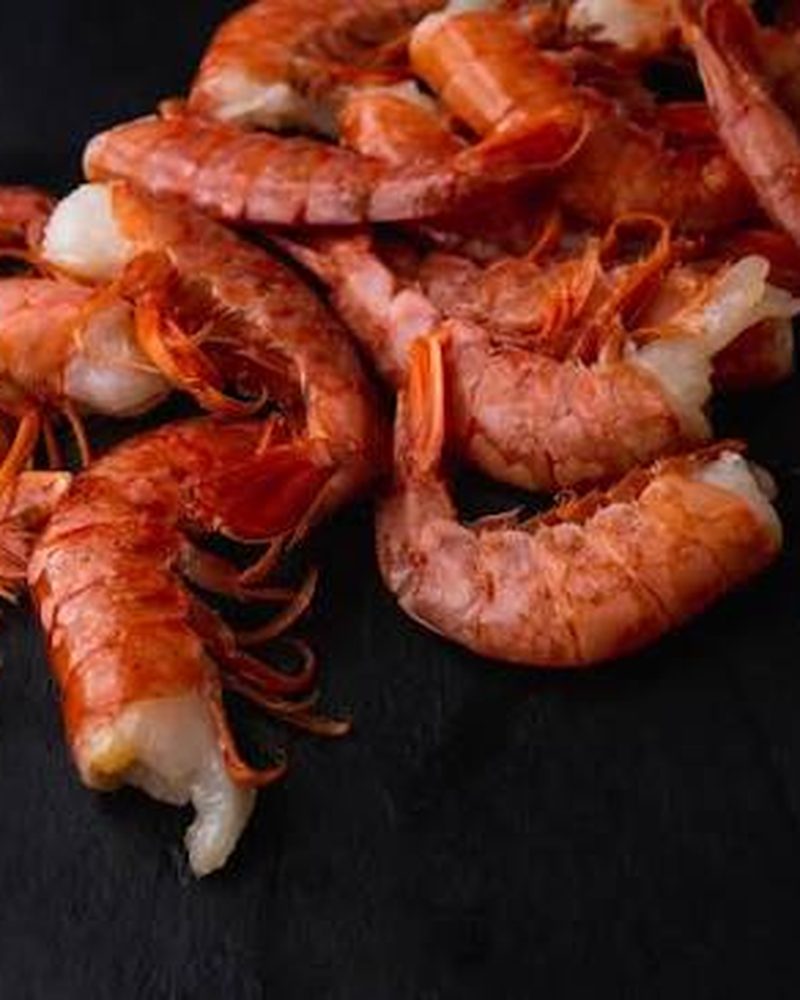 Patagonian Red Shrimp